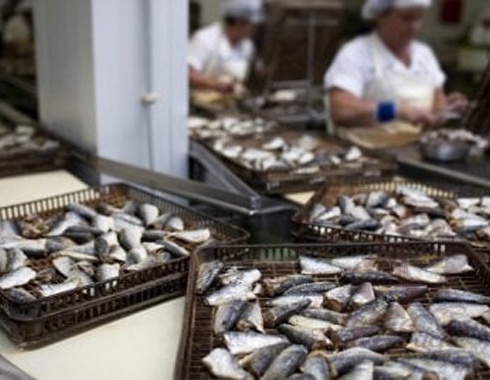 La produzione e la lavorazione del pesce e caviale